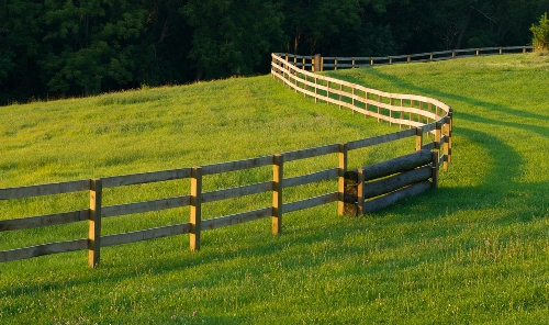 Chestertons fence.jpg